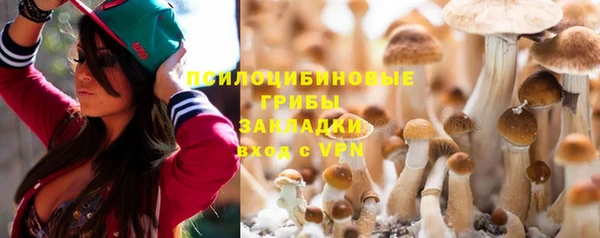 ALPHA-PVP Белокуриха