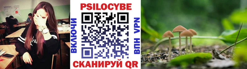 Купить закладки  Кувшиново  Галлюциногенные грибы прущие грибы 